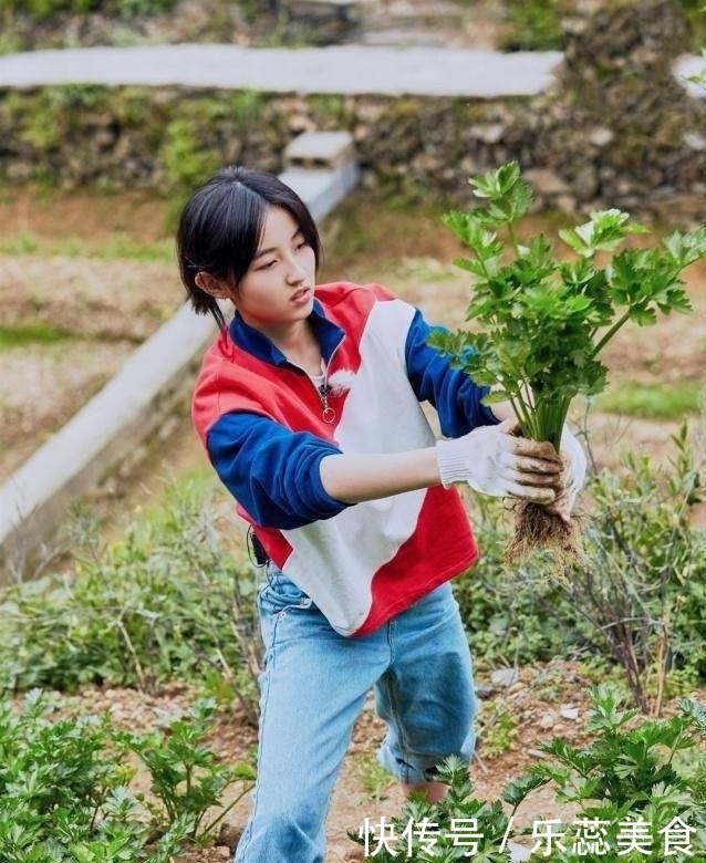 节目组 中餐厅怎么处理客人吃剩的?和向往比起来,节目组真的太缺钱了