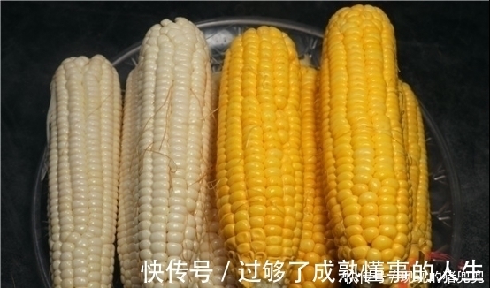 一样是玉米，“白色”和“黄色”有什么区别？看完后不要买错了！