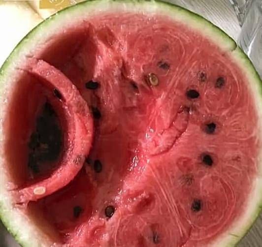 西瓜|表妹太懒,发明西瓜新吃法,本来想说她的,吃到最后都夸她聪明