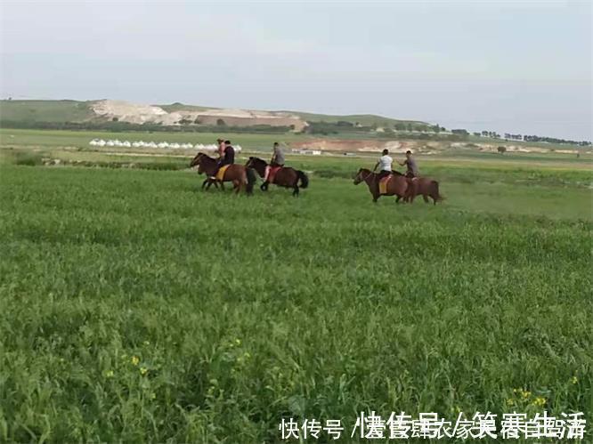 莜面鱼|张北坝上草原香君阁农家院，能骑骆驼能玩滑翔伞，出游方式真给力