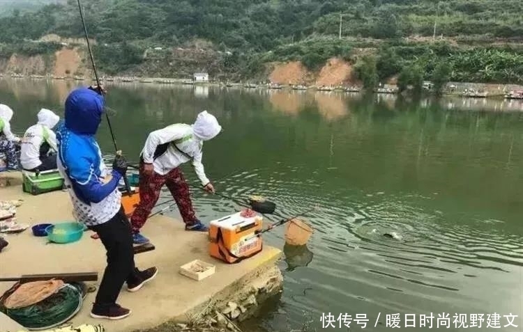 鲤鱼|水库钓鲤鱼技巧