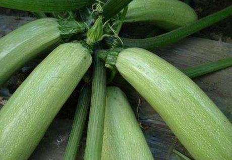 食物|想长寿全靠吃,3种食物离不开,排毒养颜,增强体质!