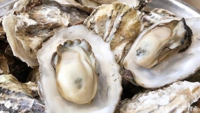 肉质|煮生蚝时,直接下锅大错特错!海边人如此做,煮出的生蚝又鲜又嫩