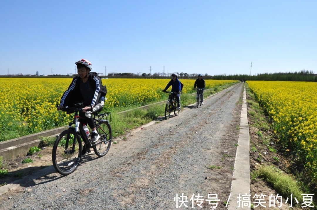 五彩|赶趟末班车，去长兴岛赏千亩五彩油菜花田