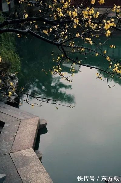 海底月@“时间是把杀猪刀”,用古诗文怎么说?