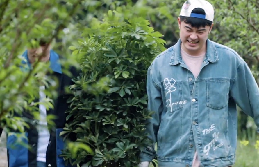 干活|蘑菇屋种树, 那英随口一句话是对陈赫李诞的最大讽刺!