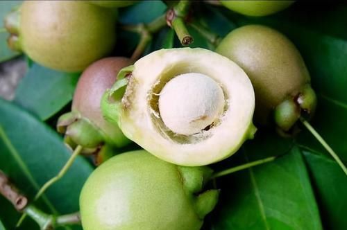 作用|女性常吃此食物,养护卵巢、呵护子宫、延缓衰老,爱吃就赚到