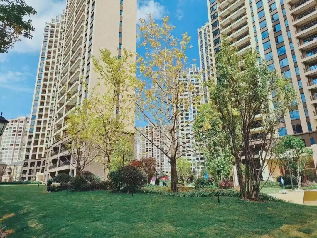 国宾府|提前20天交付!中梁碧桂园国宾府二期交出一份“合格”的成绩单