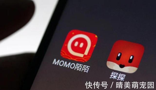 交友|“没几个人是真心来交友的”！探探创始人退场，还有谁能救陌陌？