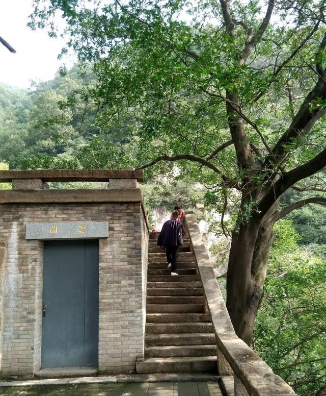 沣峪口净业寺 | 古树,砖房,静谧,闲逛如游心境