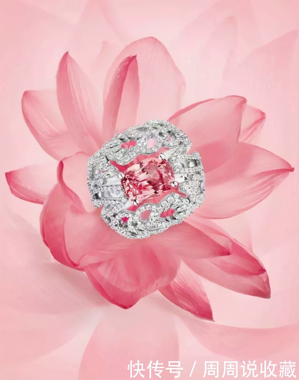 珠宝,玉石证书不能解决的问题