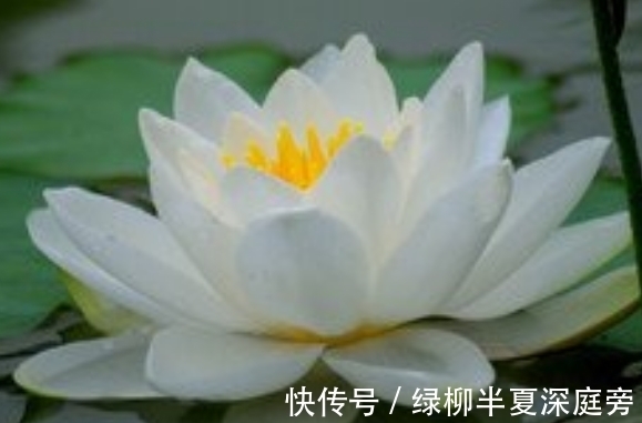 属相鼠|7月开始，4属相霉运走好运来，财源滚滚，桃花接二连三