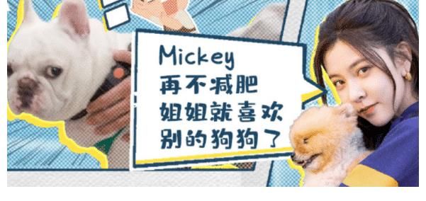 一夜成名|《家务男》3个明星反差大:宋妍霏爱心爆棚、黄景瑜不再霸道总裁