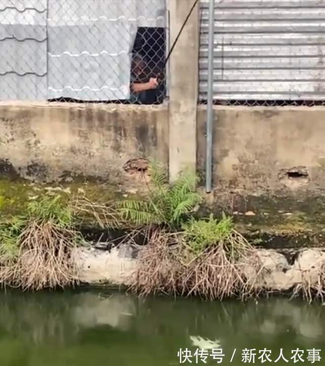 钓鱼界的天花板！四川一大爷垂钓玩出了新花样，邓刚也要让他三分