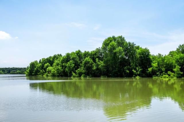 湿地在入海口是一种怎样的体验？一年四季都是美景，像是绿野仙踪