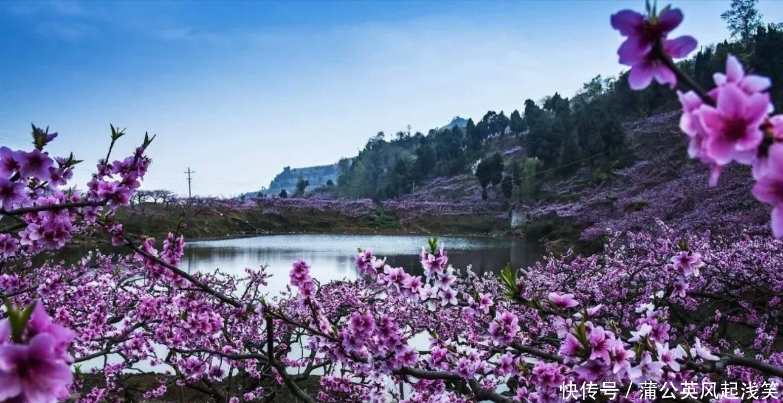 春季赏花好去处～竹林关桃花谷，赏春日胜景，看十里桃花！