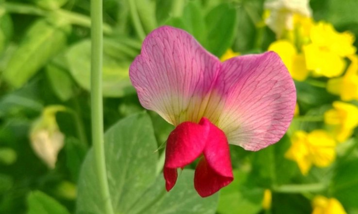 朋友|退休之后,真正有福气的人,很少交朋友了