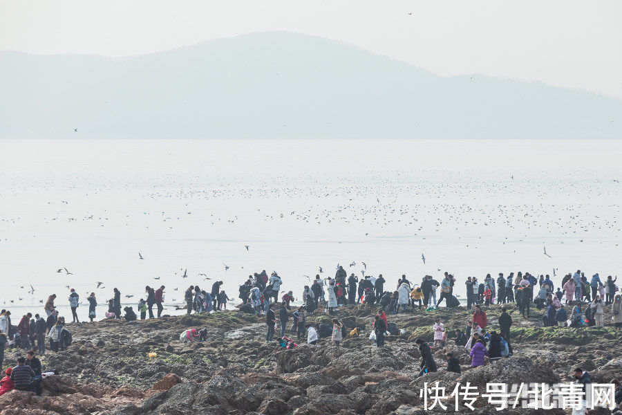 栈桥景区|假期最后一天，栈桥景区火爆