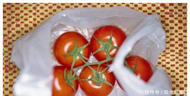塑料袋|保存西红柿别放冰箱，菜农教你两招，久放不坏，天天吃新鲜西红柿！
