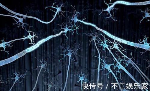 维他命|适合老年养生的3种食物,强健大脑延缓衰老,预防老年痴呆!