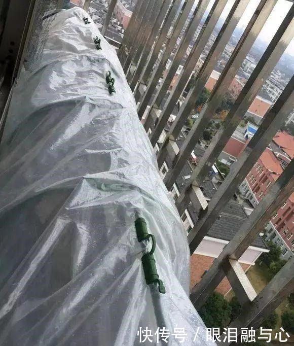 寒潮来了,害怕花受冻,赶紧这么做!寒潮来了,害怕花受冻,赶紧这么做!