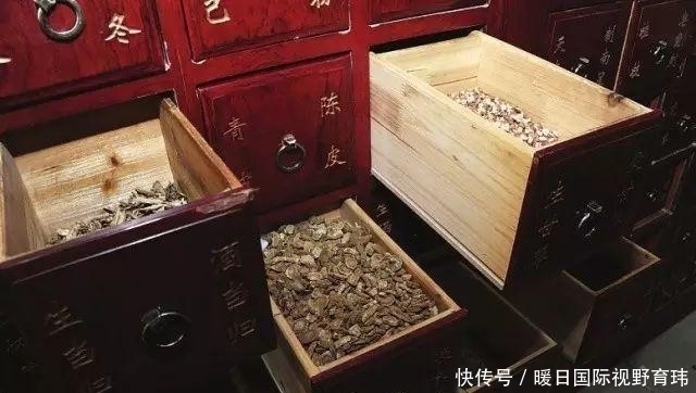 德国大学教授如此评价中医，令无数中国人汗颜