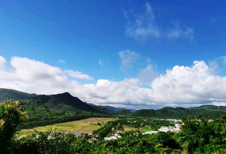 热带雨林|不一样的热带雨林，不一样的美丽风景——游亚龙湾热带天堂森林公园