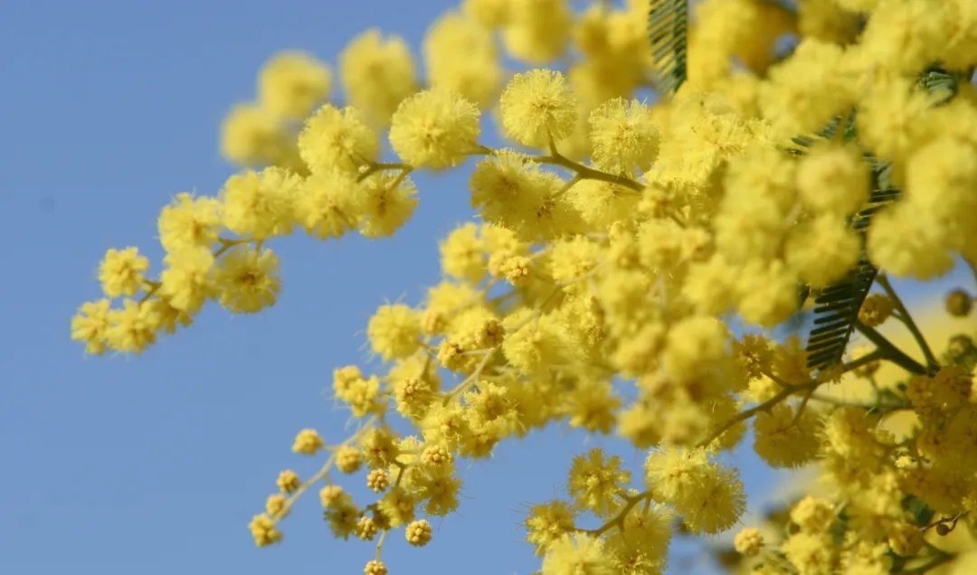 叹白发&66首惊才绝艳的古诗词,终于找全了,值得永久收藏