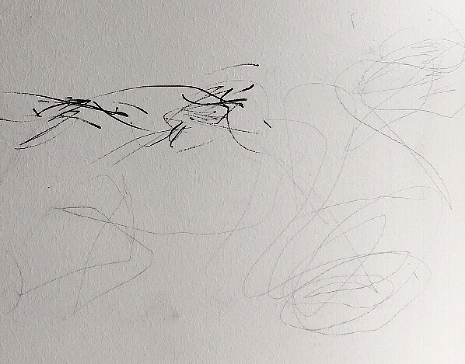 柠檬酸|为了能当懒人,装修时任性多花了四万块,现在连父母都觉得超值