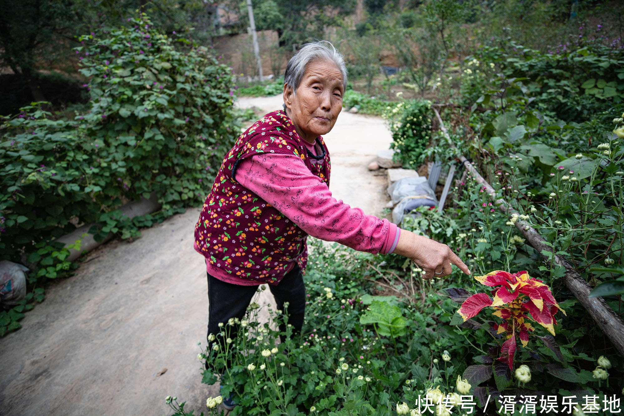 奇特植物落户7旬夫妇门口，颜色鲜艳像草又像花，谁知道它叫什么