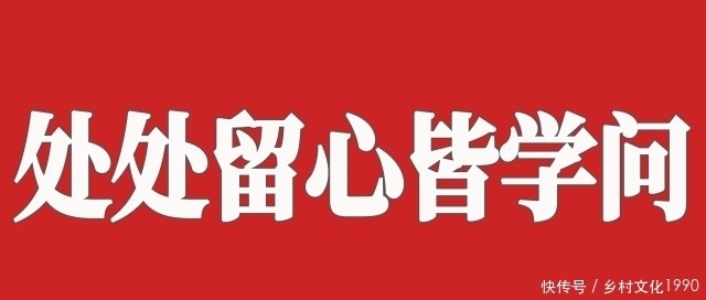  上热|“教资考试”，周杰伦躺上热搜！原来歌里不仅有青春，还有考试重点