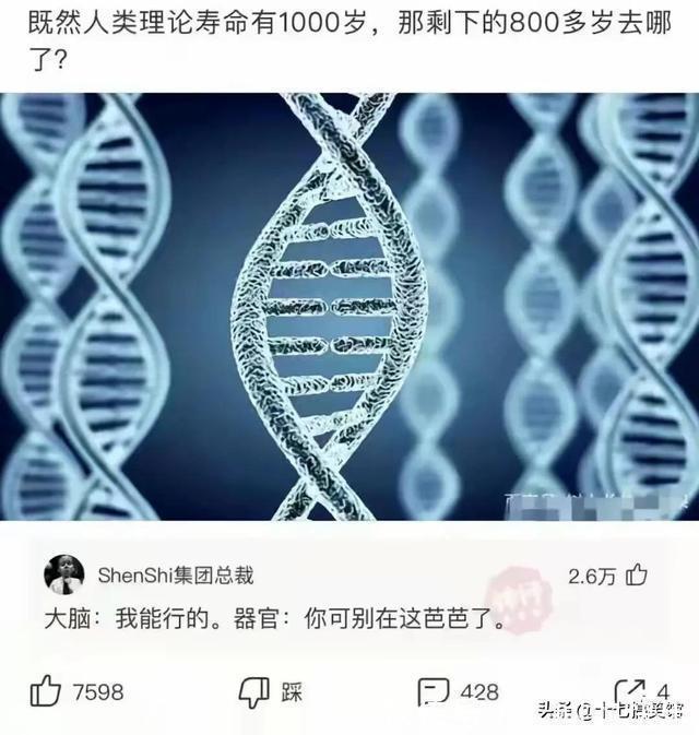|搞笑合集：这是我的两位表弟，为人方正圆滑，想看看你们的表弟