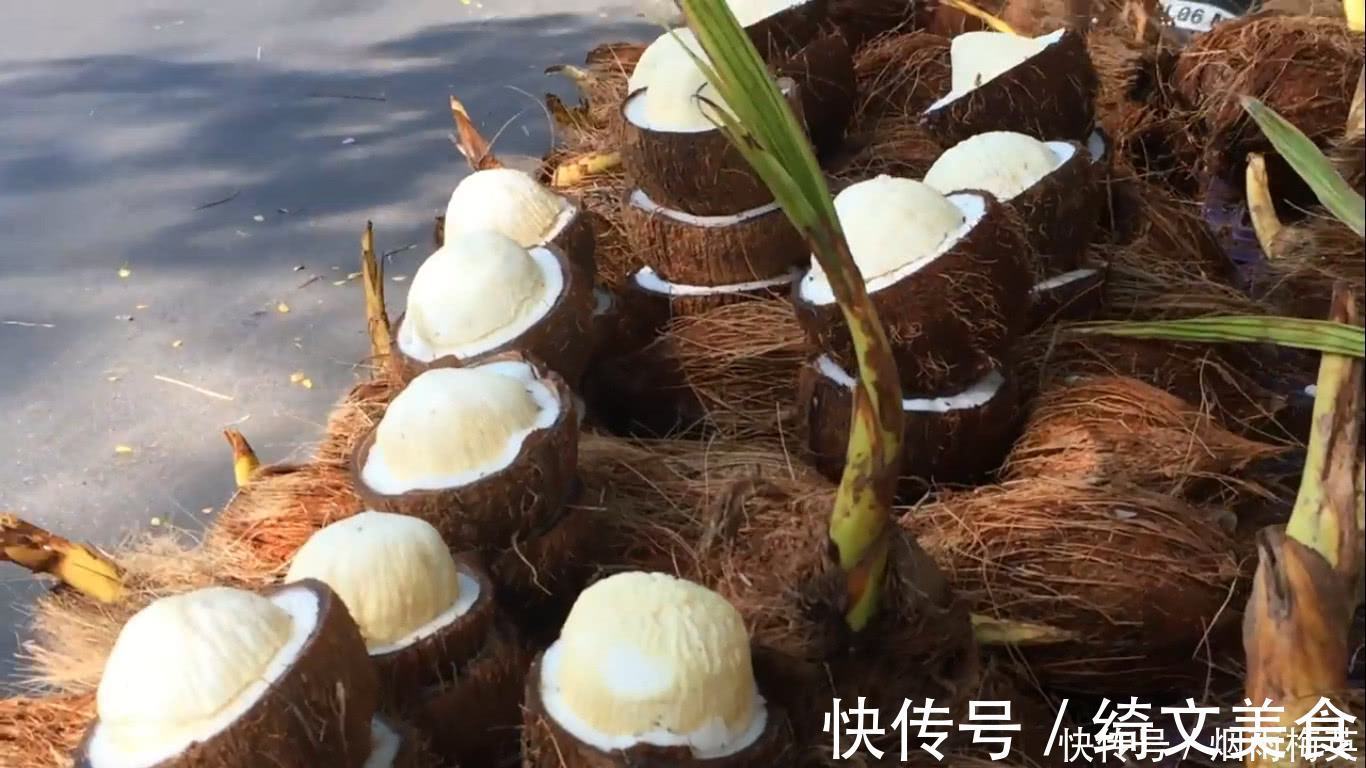 海边发了芽的椰子,才是真正的宝贝,里面这东西好吃极了