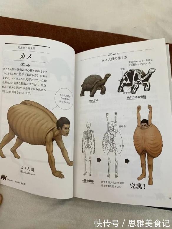 用人体|被伊藤润二支配的恐惧!日本插画师另类思路引话题