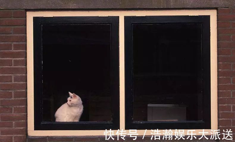 框架|新房装修窗户怎样设计注意这些,不开空调也凉快!