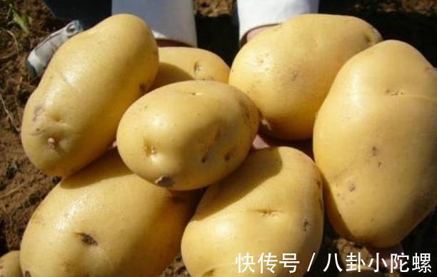 打了激素的土豆怎么区分?内行人教你3招,回回买到优质土豆!