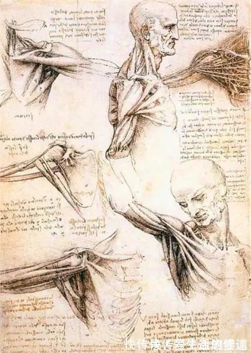 穿越者$达芬奇为何被质疑是穿越者?专家:你看他当年画的手绘图,就懂了
