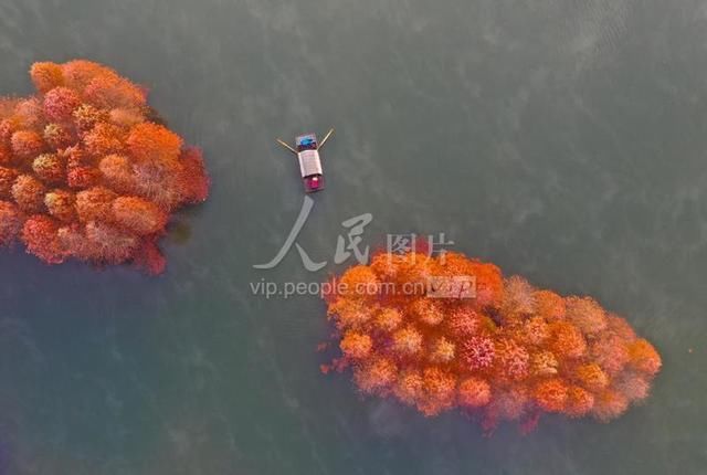 江苏盱眙：天泉湖冬景如画