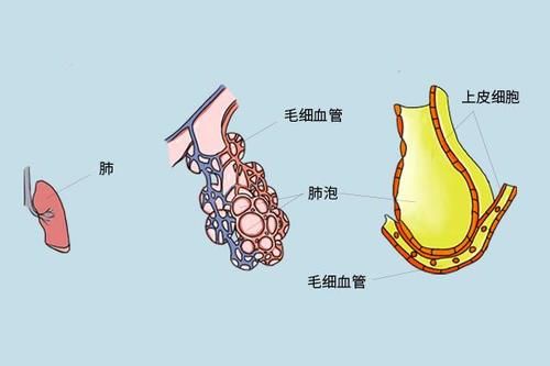 洗肺真能把肺内脏东西洗出来？专家：远离肺病，应该多做养肺事情