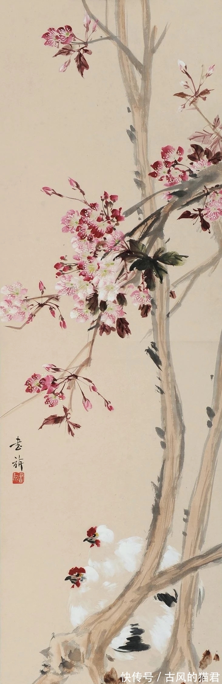 花鸟画!独特的魅力|张书旂花鸟画