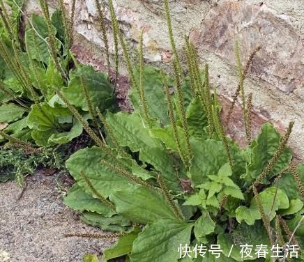 洗衣机|跪服！35㎡小公寓却拥有30㎡收纳空间，堪称小户型改造典范！