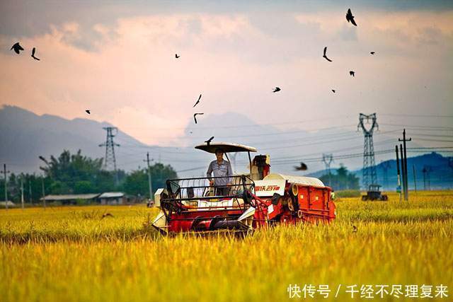  农业|温铁军：中国不能实行农村土地私有化，农业问题不能单拎出来考虑