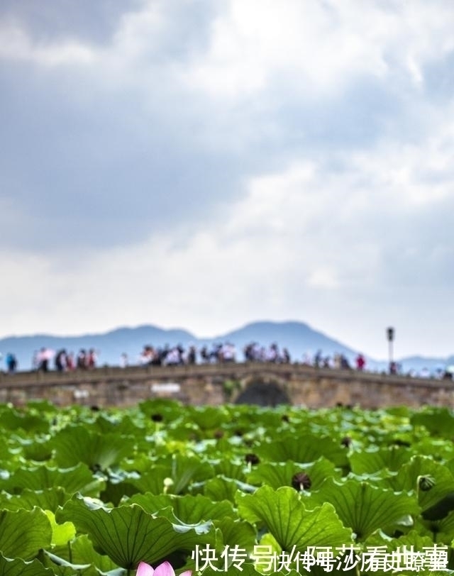 西湖|中国“良心”5A景区，坚持18年不收门票，不仅不亏还被夸有智慧