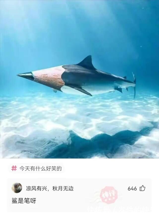 大古|神回复:迪迦奥特曼中的大古,怪兽一出现他就消失,胜利队为什么没开除他?