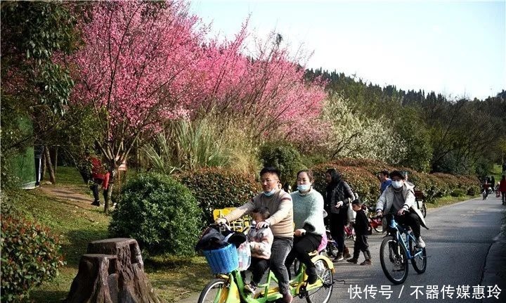 老年|美翻了！贵阳花溪湿地公园，骑行山水田园间