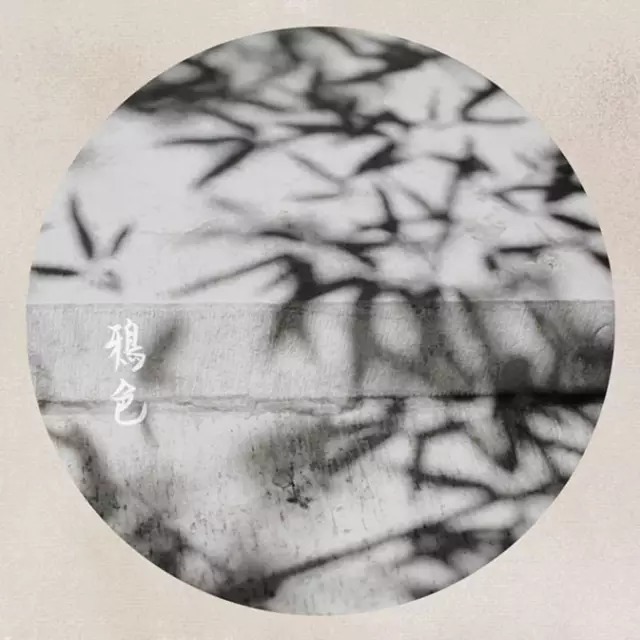  不知|金庸：情不知所起，一往情深