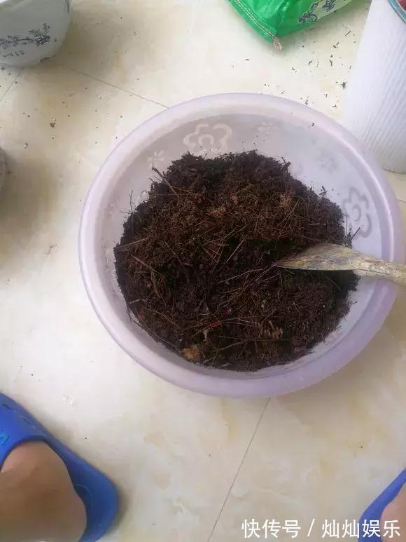 花土|2种土到处有,挖一点养花特别好,疏松透气肥力足,还不烂根!