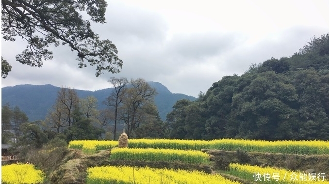 这个春天，约吗？一起云游婺源