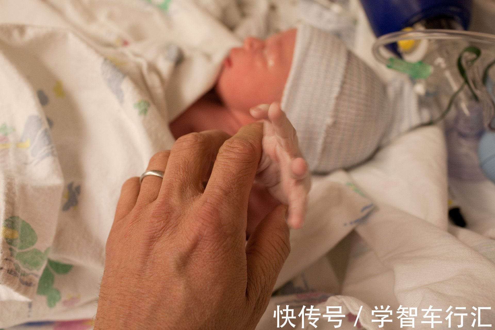 谢楠|剖宫产有多“伤”妈妈,几张3D过程图带你了解,感恩老婆和妈妈