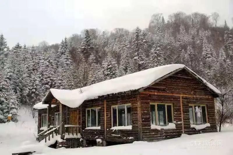 柴河|森工柴河威虎山景区冰雪景观上线